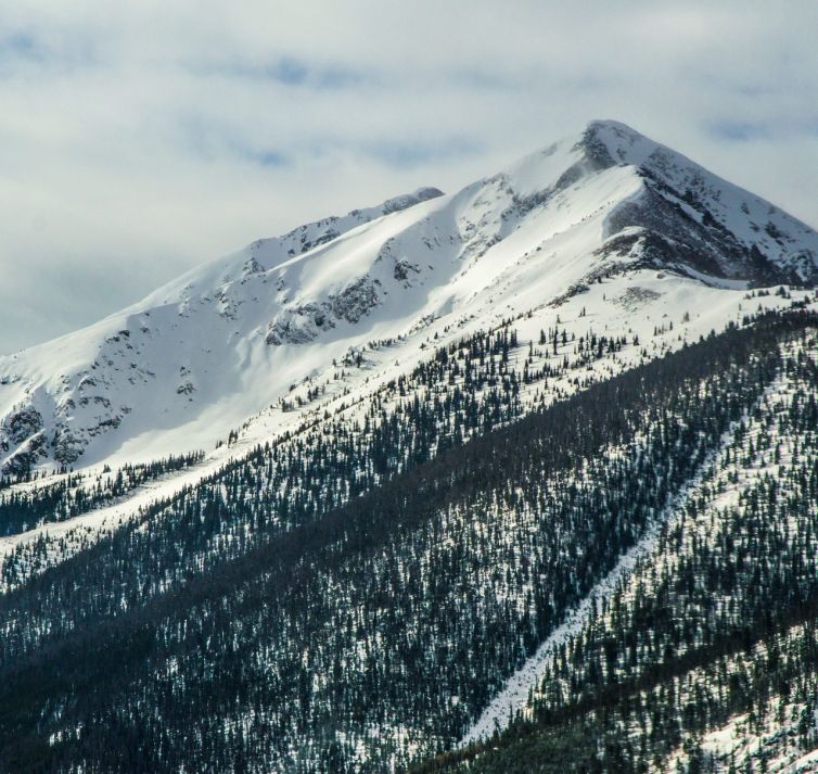 A snow-covered mountain peak rises above a forested slope, with patches of dark green pine trees and a cloudy sky overhead.