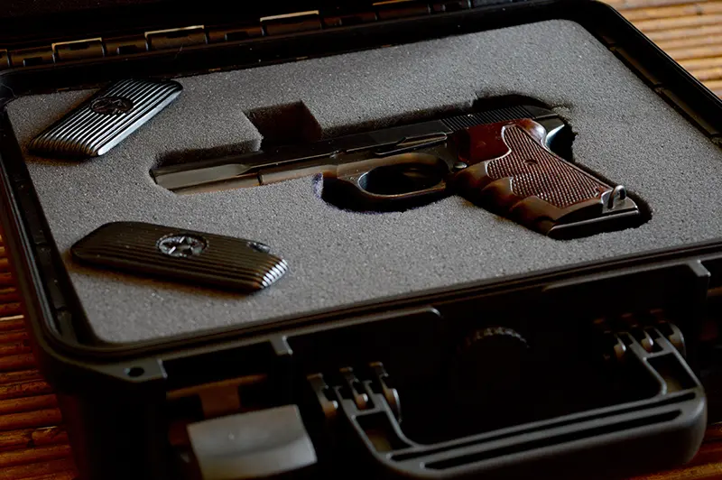 Gun case with gun