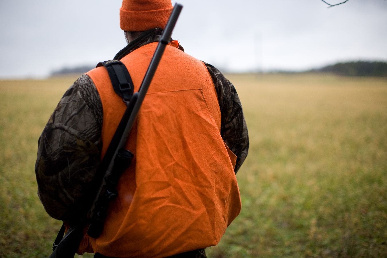 A person seen from behind, wearing an orange safety vest and hat, holding a rifle, stands in a grassy field under a cloudy sky, likely during a hunting trip.